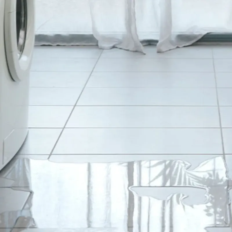 Appliance Leak Cleanup in Victoria County, TX