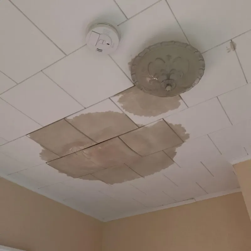 Ceiling Water Damage Repair in Victoria County, TX