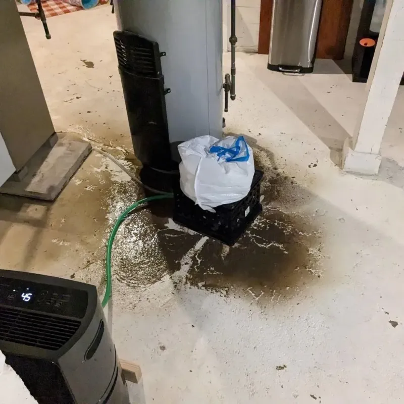 Sewage Backup Cleanup Service in Victoria County, TX